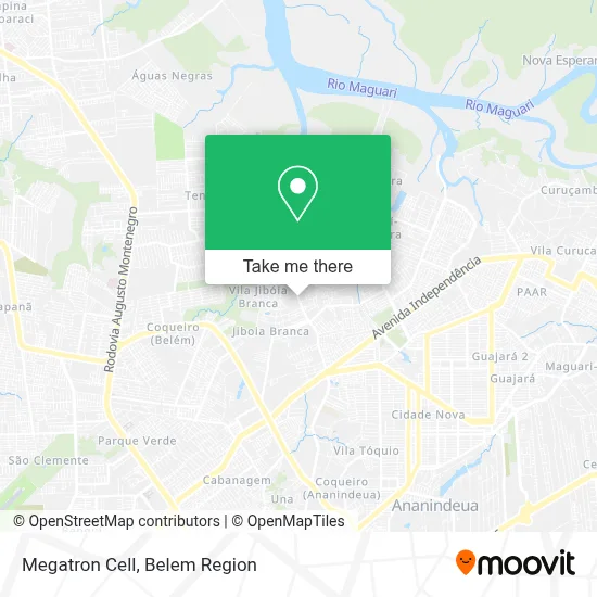 Megatron Cell map