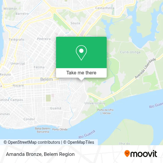 Amanda Bronze map