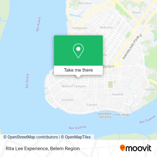 Rita Lee Experience map