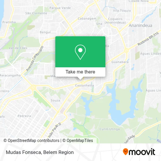 Mudas Fonseca map