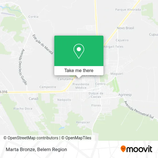 Marta Bronze map
