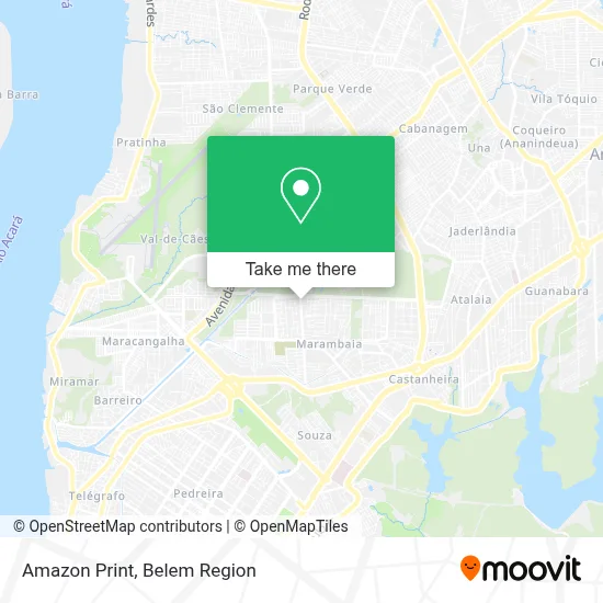 Amazon Print map