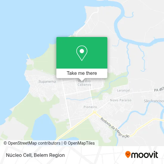 Núcleo Cell map