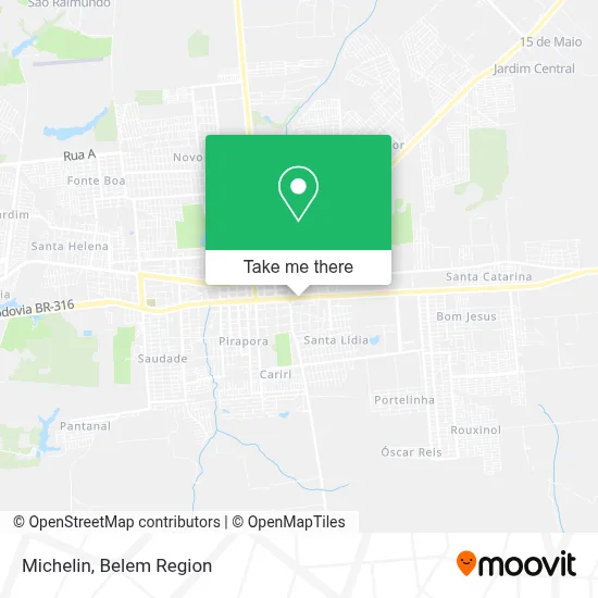 Michelin map