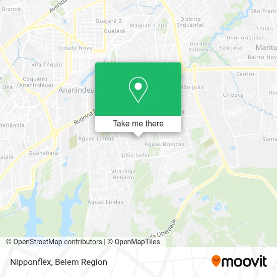 Nipponflex map