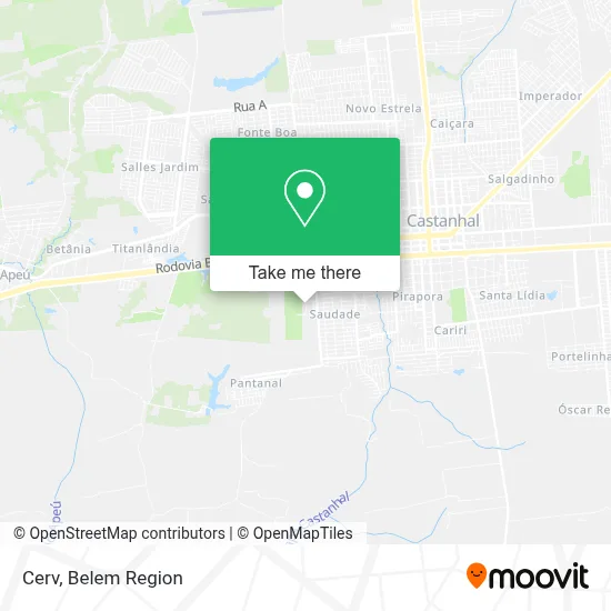 Cerv map