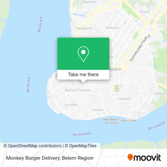 Monkey Burger Delivery map
