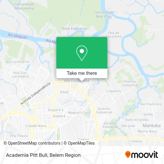 Academia Pitt Bull map