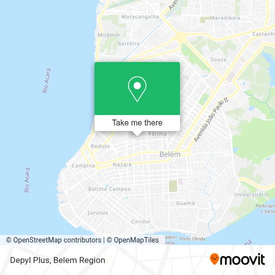 Depyl Plus map