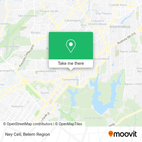 Ney Cell map