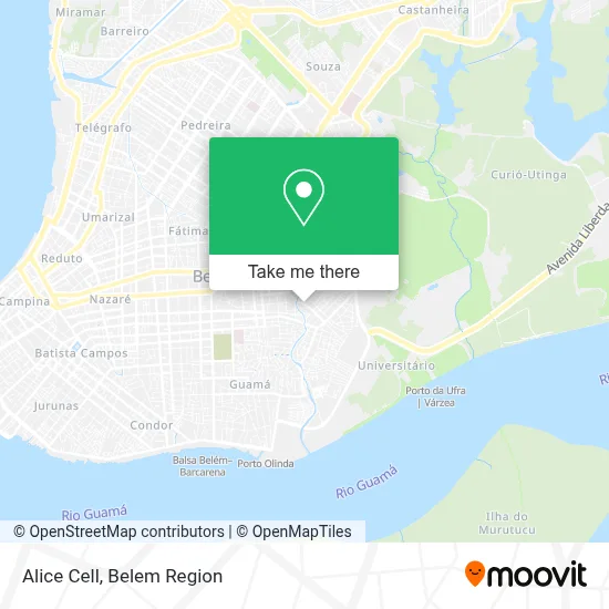 Alice Cell map