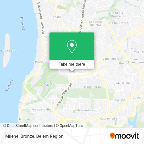 Milene_Bronze map
