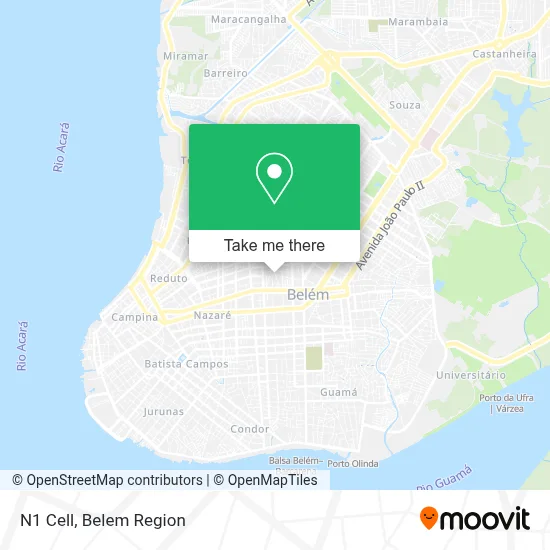 N1 Cell map