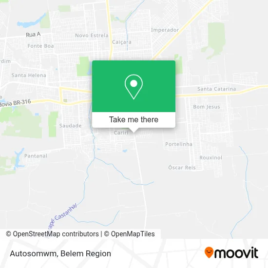 Autosomwm map