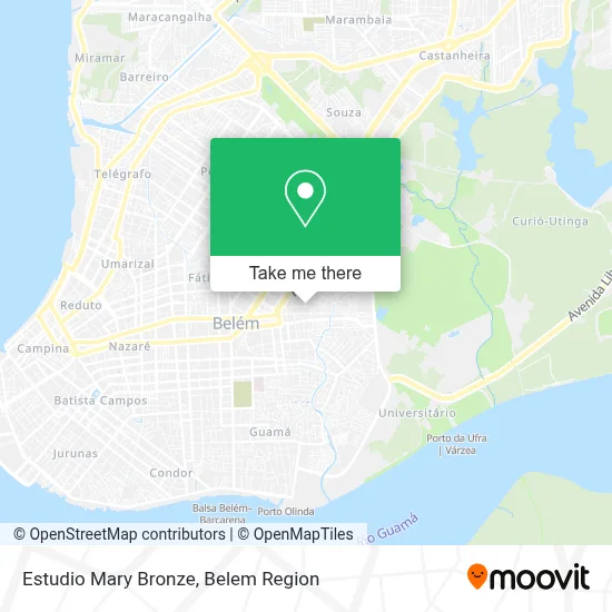 Estudio Mary Bronze map