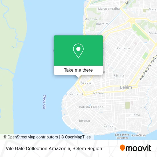 Vile Gale Collection Amazonia map