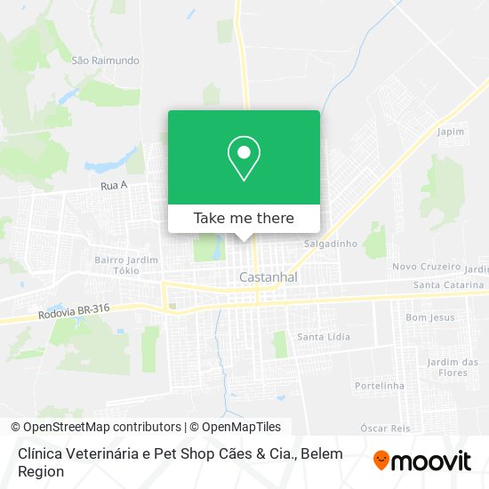 Clínica Veterinária e Pet Shop Cães & Cia. map