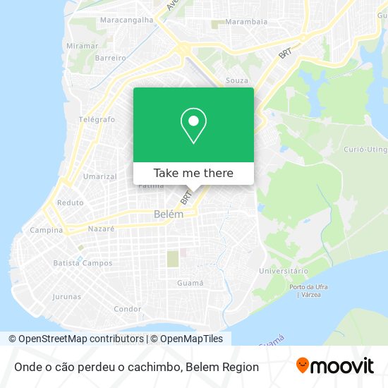 Onde o cão perdeu o cachimbo map