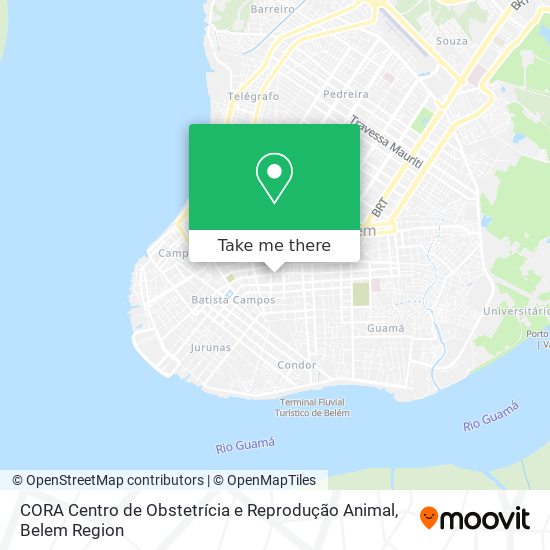 CORA Centro de Obstetrícia e Reprodução Animal map