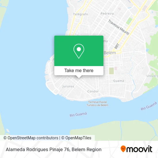 Alameda Rodrigues Pinaje 76 map