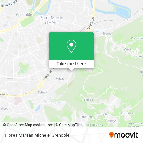 Flores Marsan Michele map