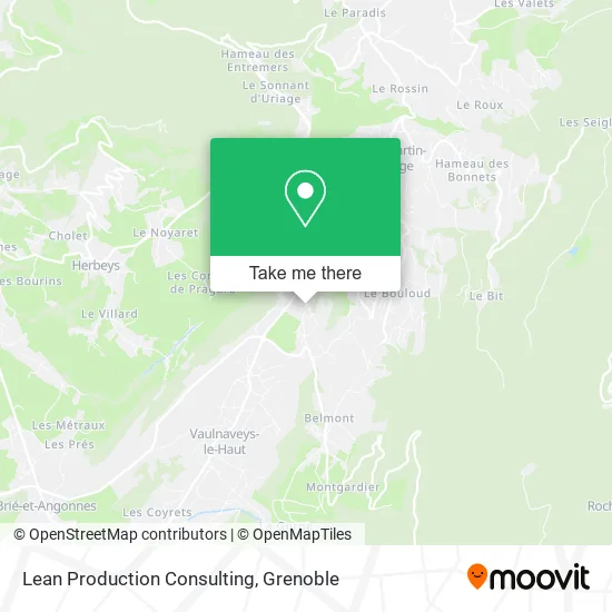 Lean Production Consulting map