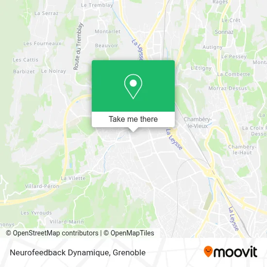 Neurofeedback Dynamique map