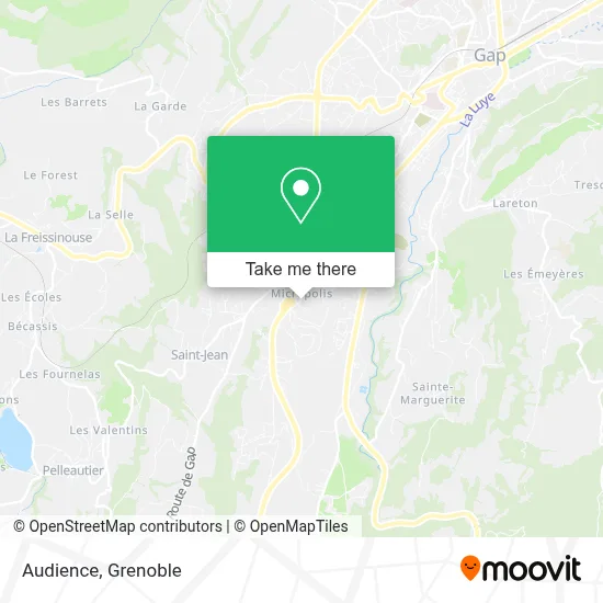 Audience map