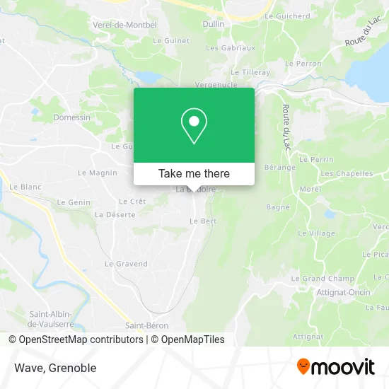 Wave map