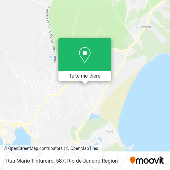 Rua Mario Tintureiro, 587 map