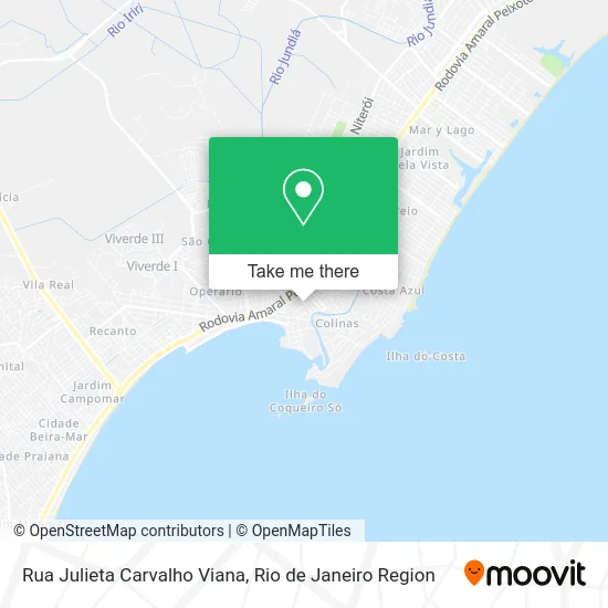 Rua Julieta Carvalho Viana map