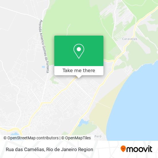 Mapa Rua das Camélias