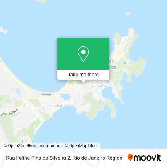 Rua Felina Pina da Silveira 2 map