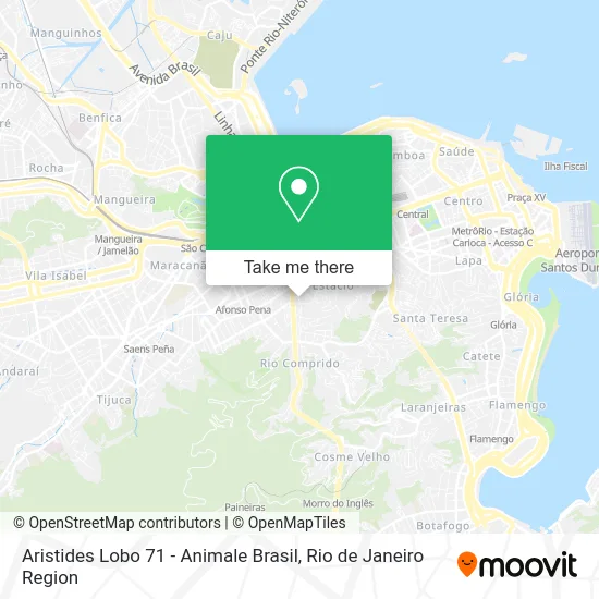 Aristides Lobo 71 - Animale Brasil map