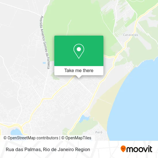 Rua das Palmas map