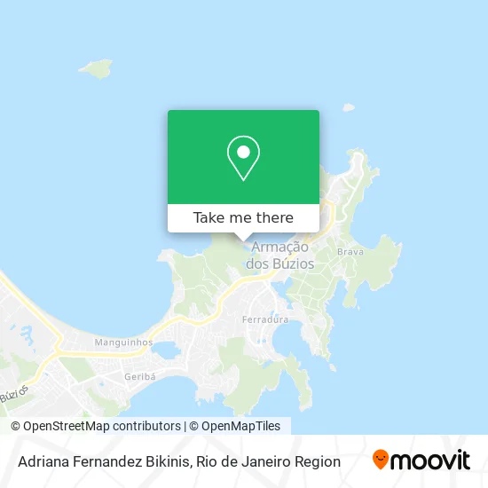 Adriana Fernandez Bikinis map