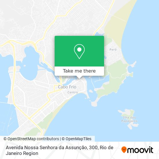Avenida Nossa Senhora da Assunção, 300 map