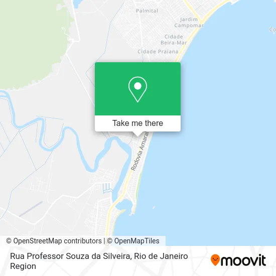 Rua Professor Souza da Silveira map
