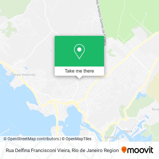 Rua Delfina Francisconi Vieira map