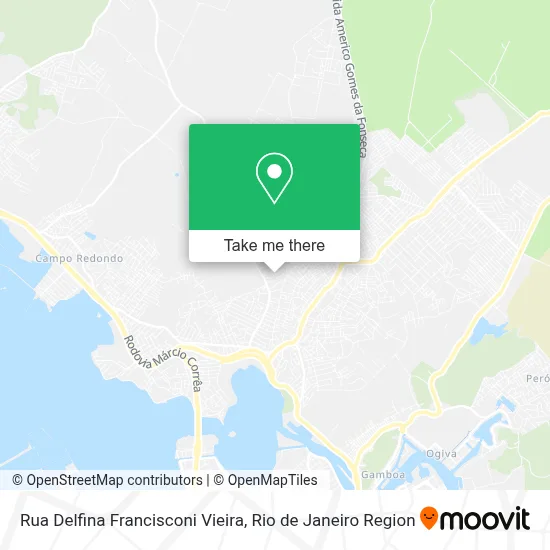 Rua Delfina Francisconi Vieira map