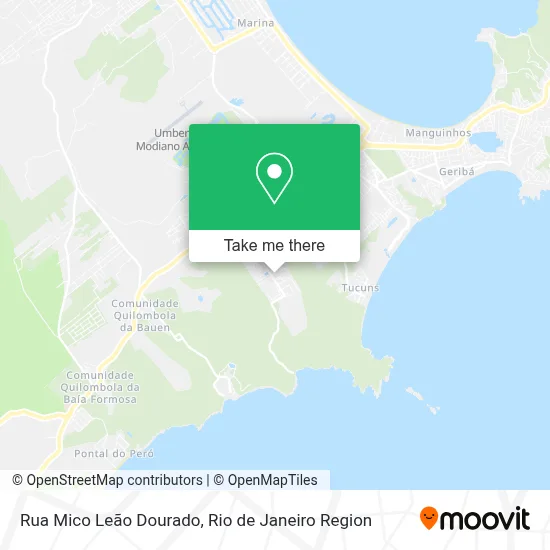 Rua Mico Leão Dourado map