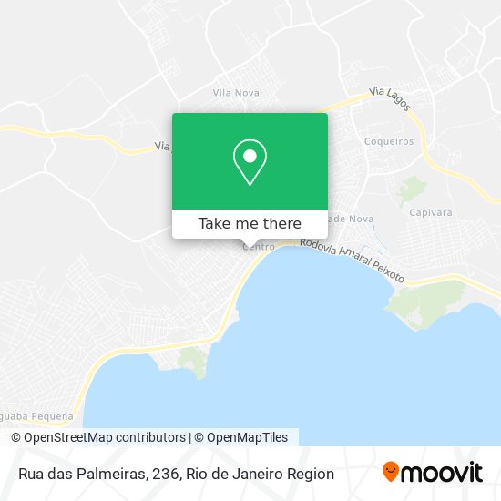Rua das Palmeiras, 236 map