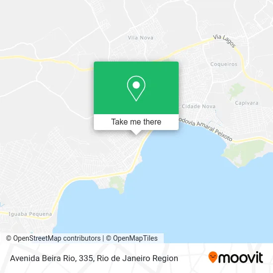 Avenida Beira Rio, 335 map