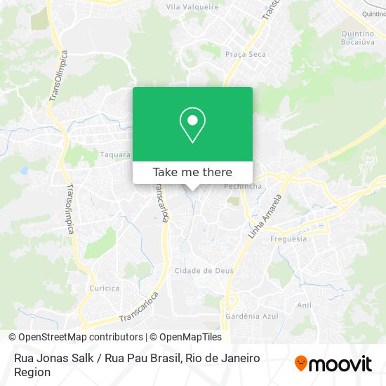 Rua Jonas Salk / Rua Pau Brasil map