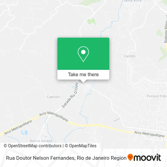 Rua Doutor Nelson Fernandes map