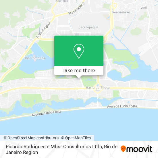 Ricardo Rodrigues e Mbsr Consultórios Ltda map