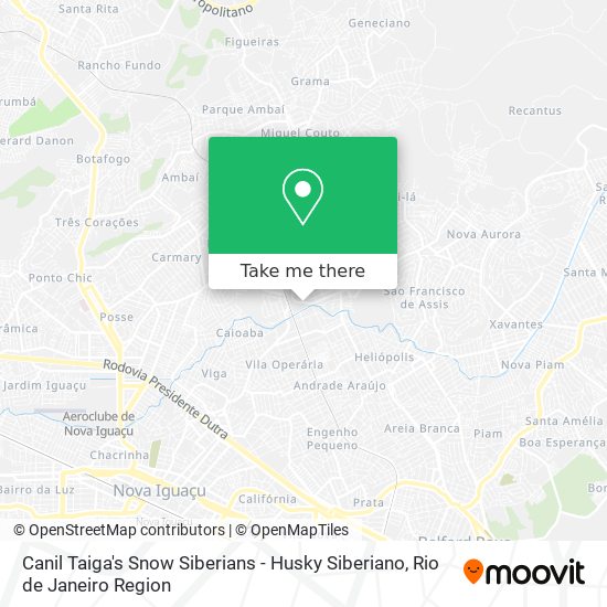 Canil Taiga's Snow Siberians - Husky Siberiano map