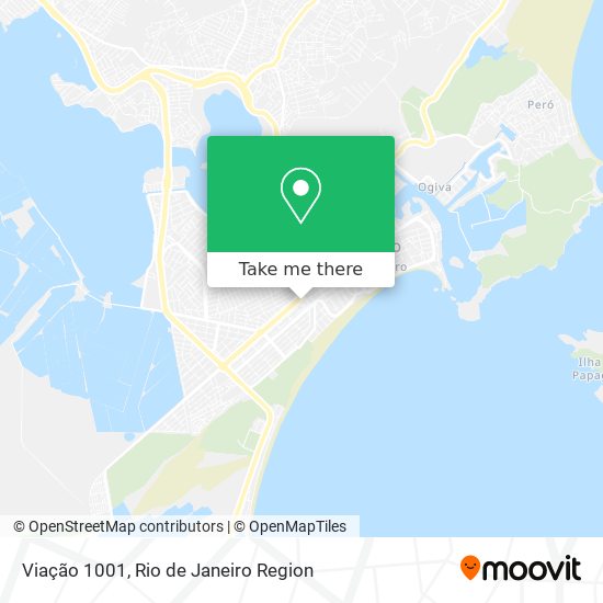 Viação 1001 map