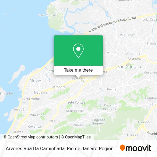 Arvores Rua Da Caminhada map