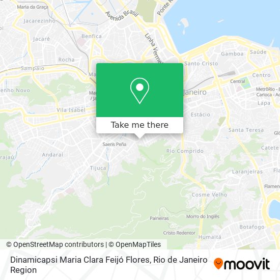 Mapa Dinamicapsi Maria Clara Feijó Flores